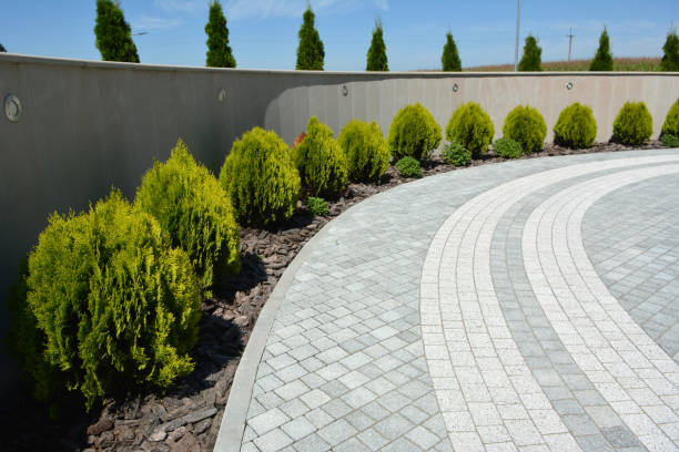 Best Driveway Pavers for Homes  in Morrilton, AR